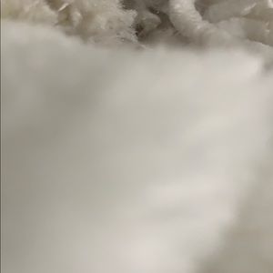 Meet your Posher, Ashka